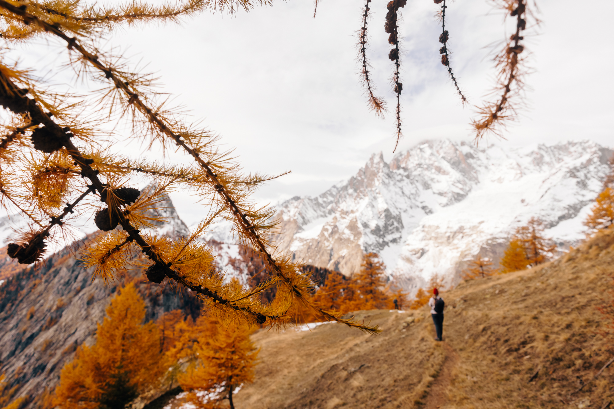 Courmayeurmontblanc - Val Ferret